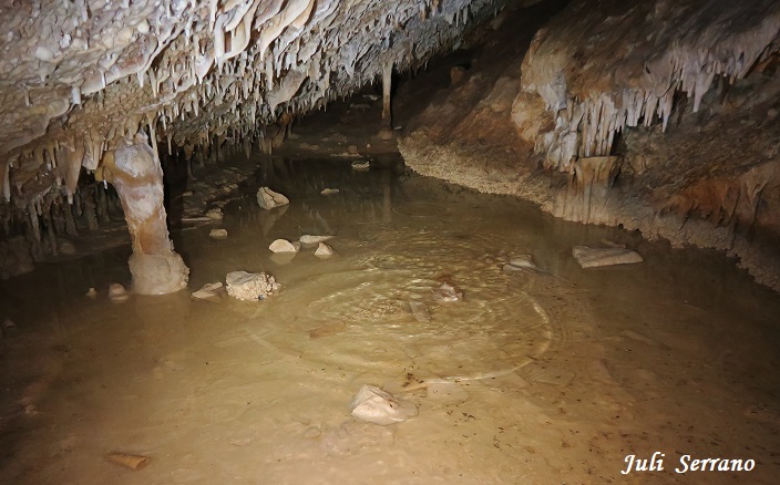 foto 11: Cova-avenc del Mas d'en Toni