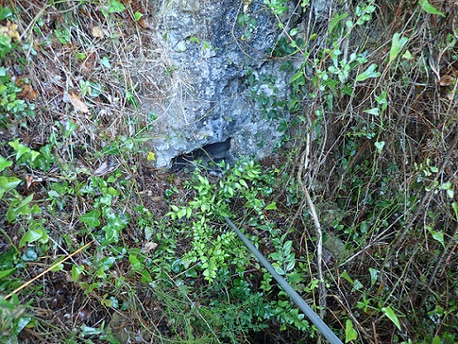 foto 0: Cova del Tallafocs