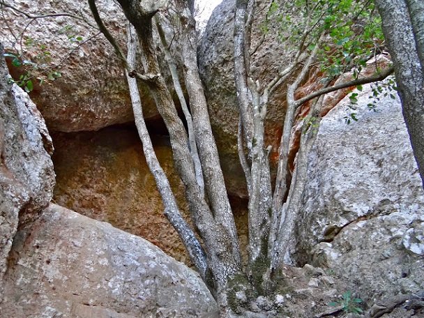 foto 0: Cova de la Canal dels Boixos