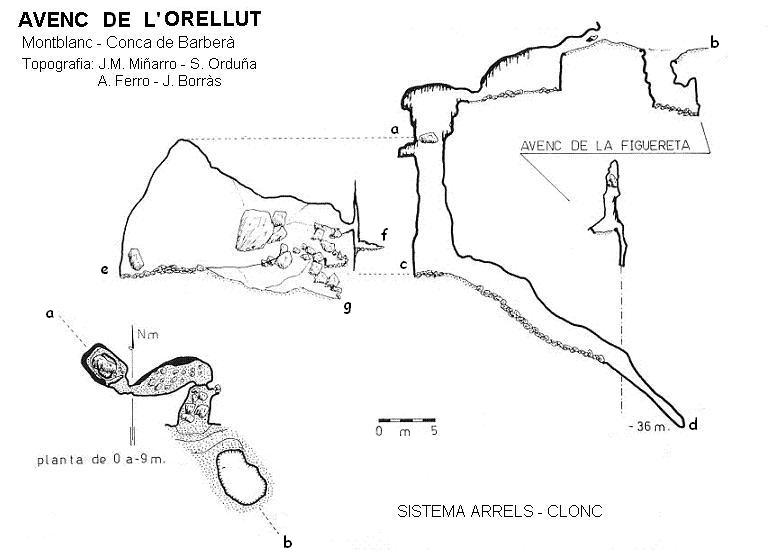 topo 4: Sistema Arrels-clonc