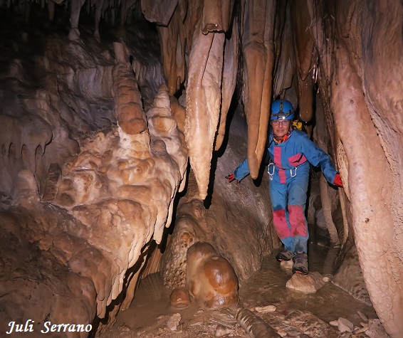 foto 7: Cova-avenc del Mas d'en Toni