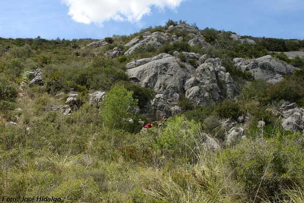 foto 0: Avenc de Penya Embassada