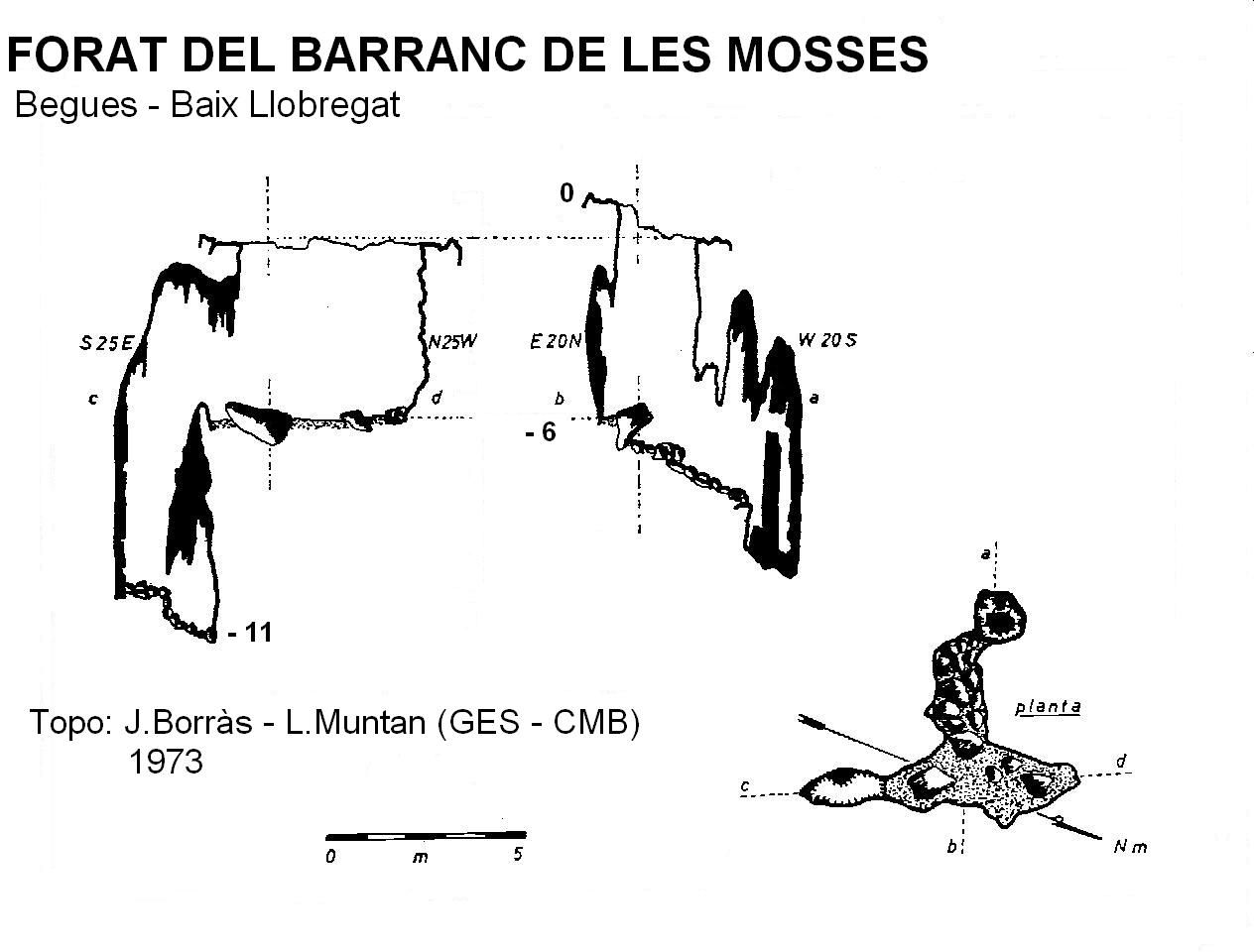 topo 0: Forat del Barranc de les Mosses