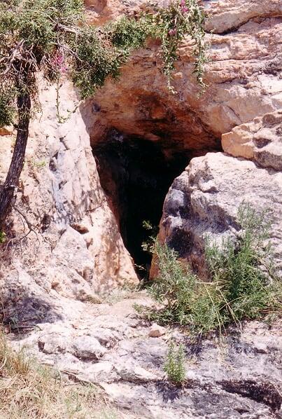 foto 0: Cova del Barranc Fondo