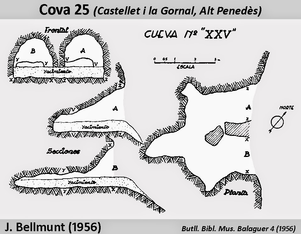 topo 1: Cova Vint-i-cinc