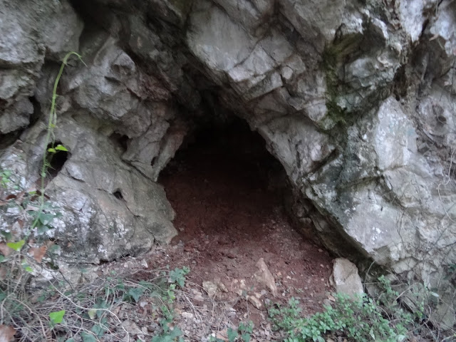 foto 0: Cova del Gorg d'en Fitó