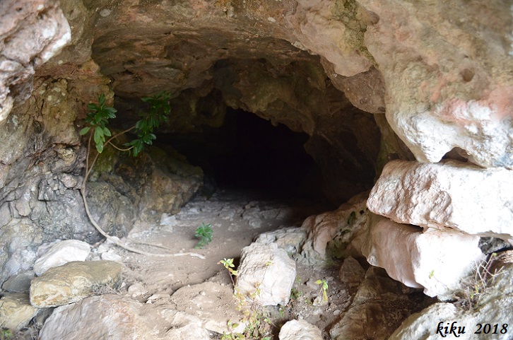 foto 2: Cova Nº6 de l'Escudelleta