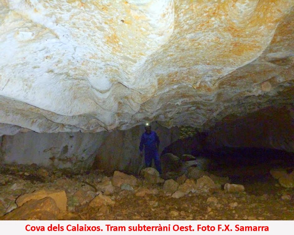 foto 3: Cova dels Calaixos de l'ereldo