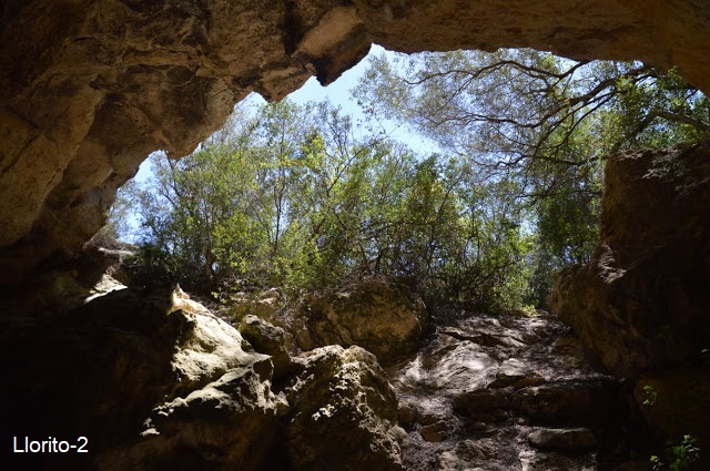 foto 4: Coves del Llorito