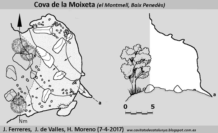 topo 0: Cova de la Moixeta