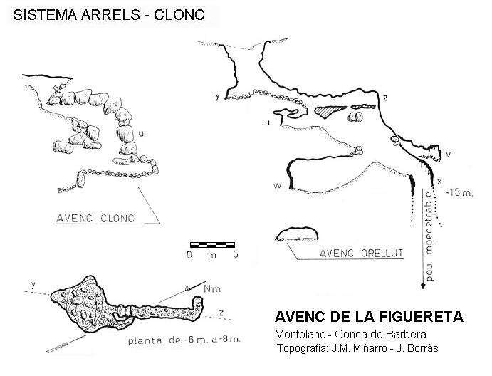 topo 3: Sistema Arrels-clonc