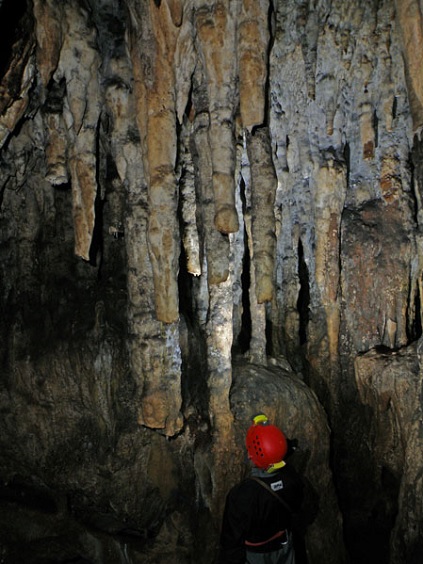 foto 12: Cova dels Muricecs