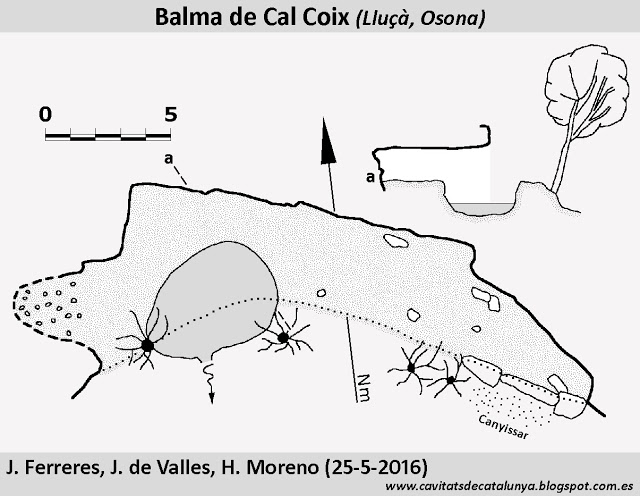 topo 0: Balma de Cal Coix