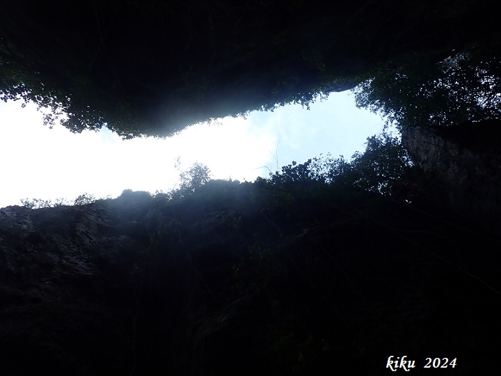 Фото Fou de Balet