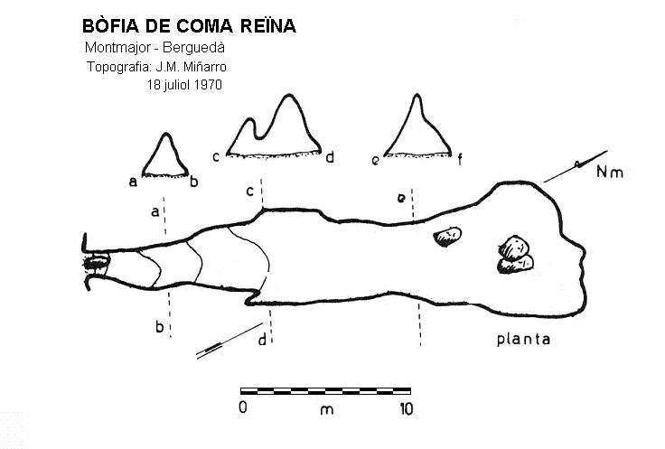 topo 0: Bòfia de Coma Reïna