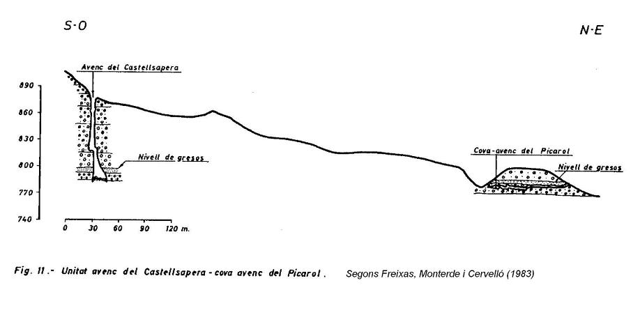 topo 2: Cova-avenc del Picarol