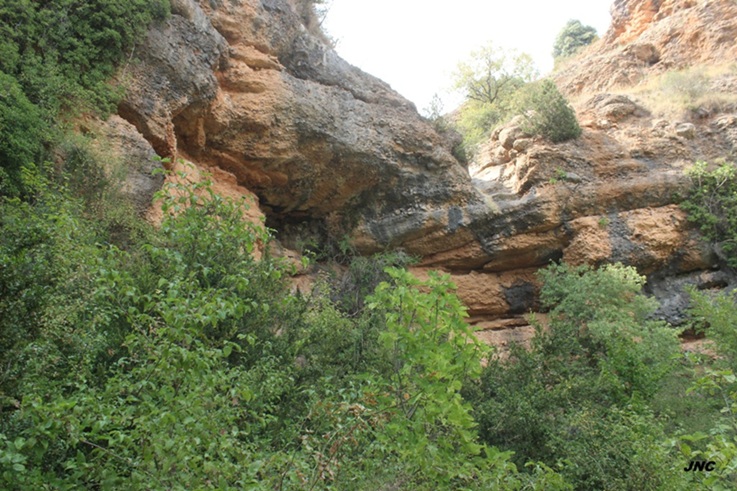 foto 0: Cova Nº1 les Balçs