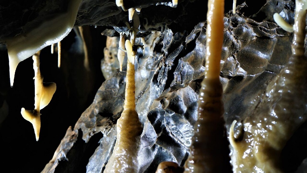 foto 3: Cova Nº1 del Barranc de Moredo