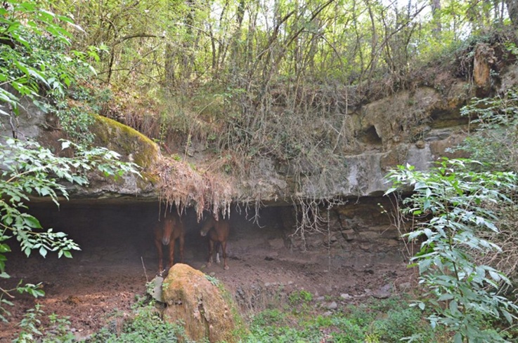 foto 0: Balma de la Vall