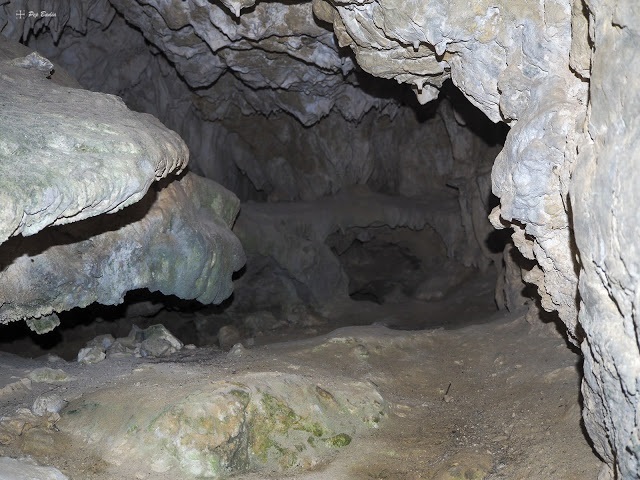 foto 1: Cova del Teix