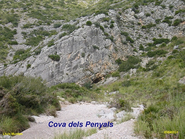 foto 0: Coveta dels Penyals