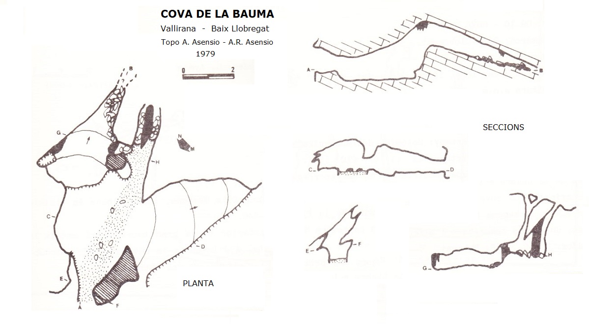 topo 0: Cova de la Bauma