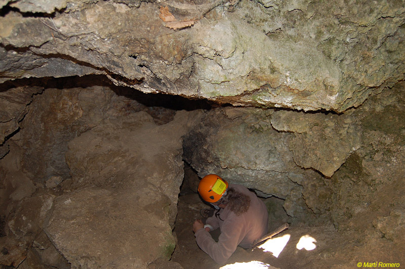 foto 2: Cova del Castell de Palmerola