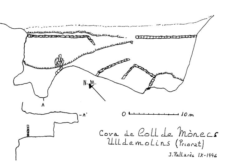 topo 0: Cova del Coll de Mònecs