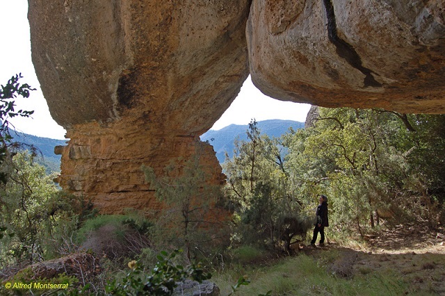 foto 3: Balma del Cigalot del Corb