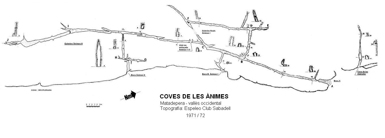 topo 1: Coves de les ànimes