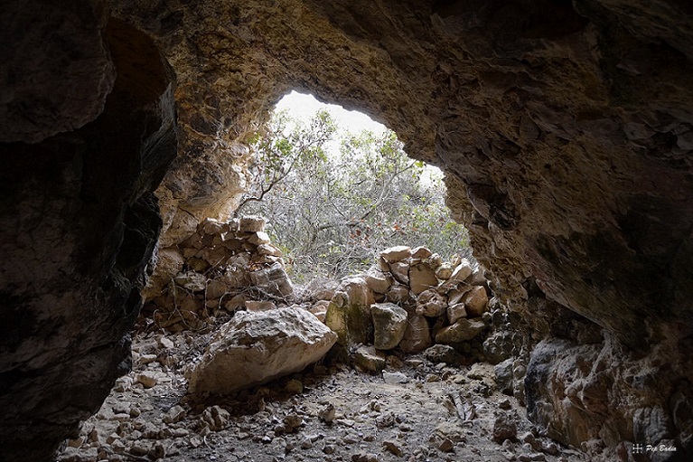 foto 1: Cova Terril