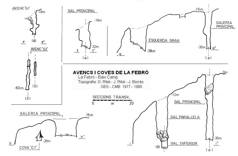 topo 2: Avencs I Coves de la Febró