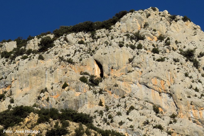 foto 0: Espluga de les Caixes de Fenollet