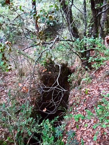 foto 0: Avenc de l'Esquena d'ases