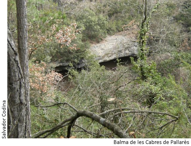 foto 0: Balma de les Cabres de Pallarès