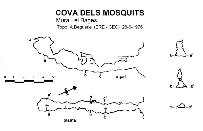 topo 0: Cova dels Mosquits