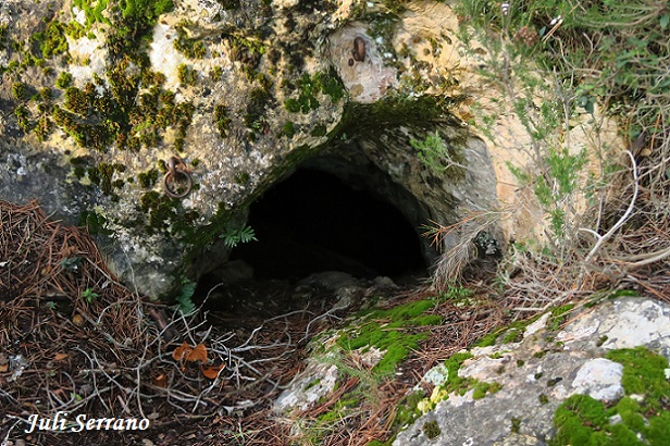 foto 0: Cova-avenc del Mas d'en Toni