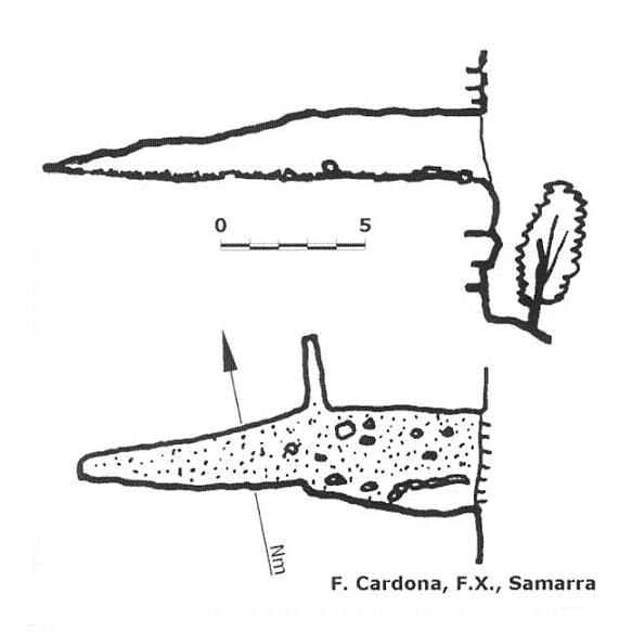 topo 1: Cova Ii de l'Afrau