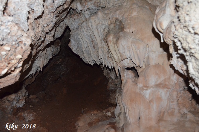 foto 12: Cova Gran de les Fogueroses