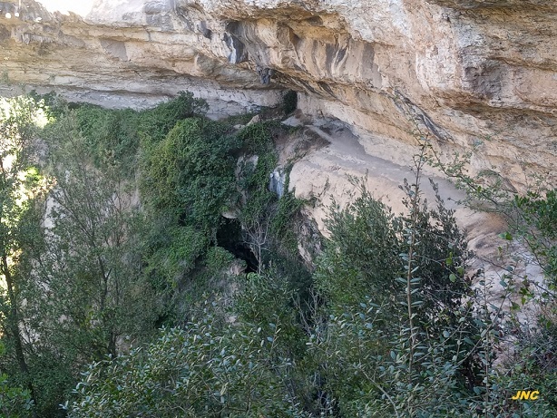 foto 0: Balma Inferior de Roca Gironella