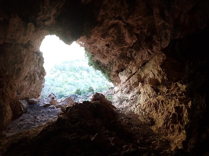 foto 4: Cova de la Punta de la Vall del Pastor