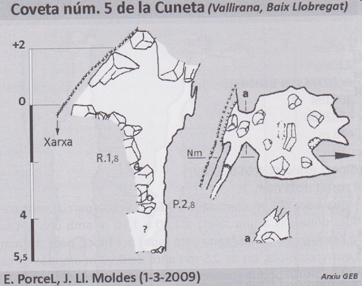 topo 1: Avenc de la Variant