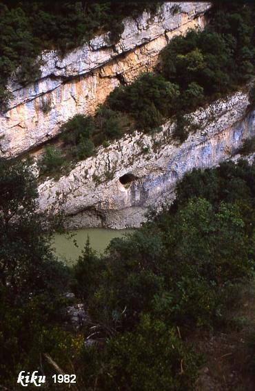 foto 1: Cova de la Platja Nº2