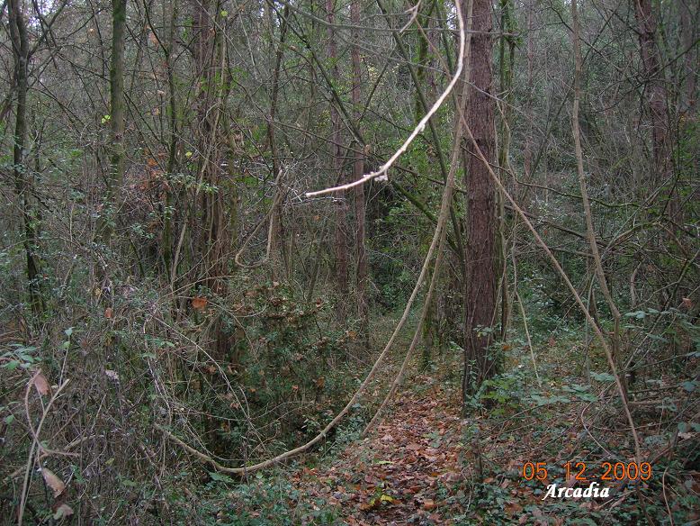 foto 8: Sistema de les Bores del Borró