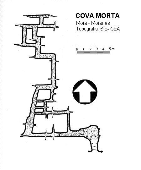 topo 0: Cova Morta