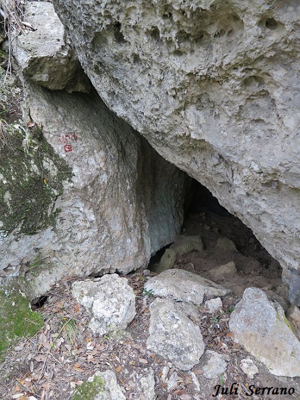 foto 0: Cova Nr-9