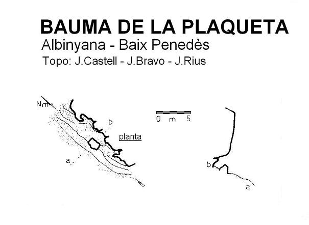 topo 0: Bauma de la Plaqueta