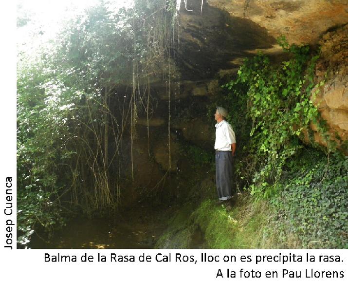 foto 0: Balma de la Rasa de Cal Ros