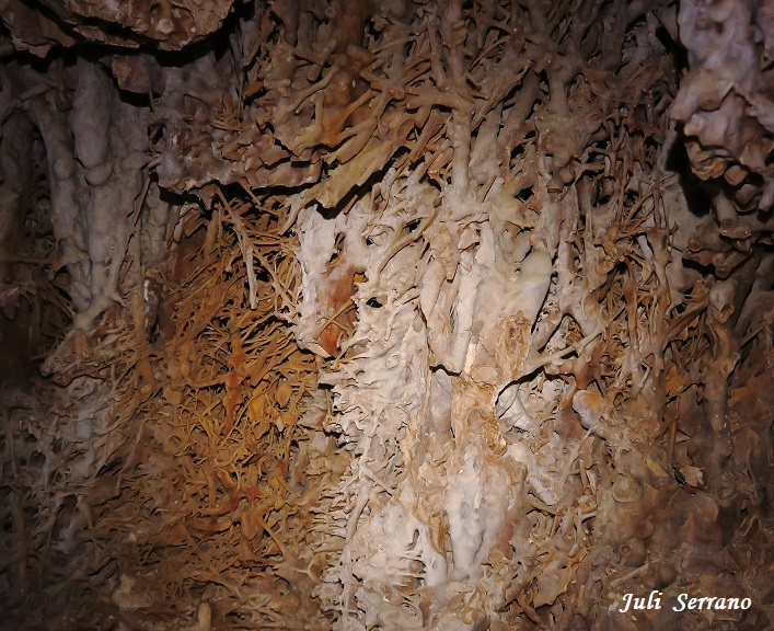 foto 9: Cova de la Calavera