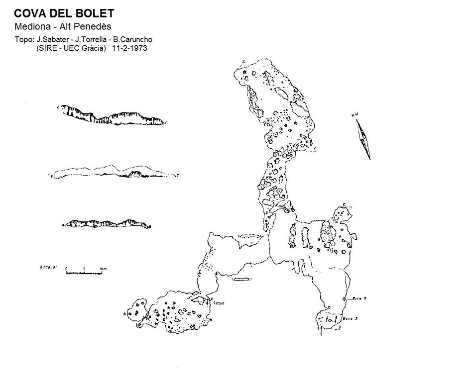 topo 1: Cova del Bolet